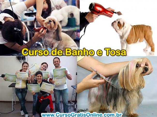 banho e tosa