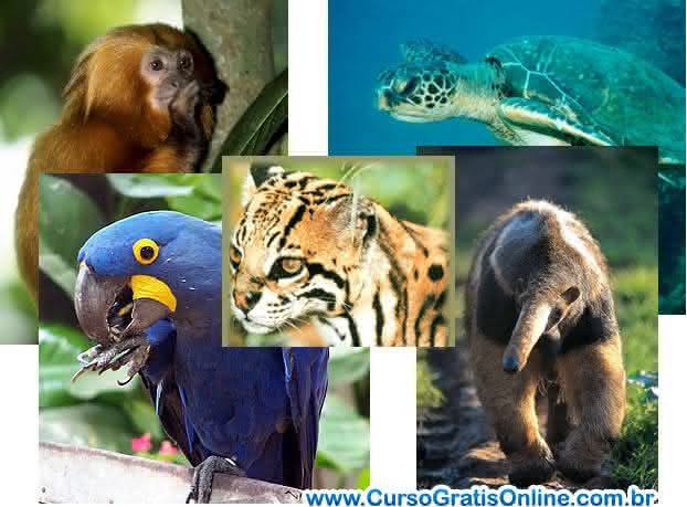 animais em extinção