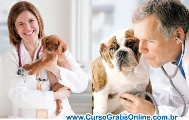 Faculdade de Veterinária – Curso, Profissão e Mercado de Trabalho