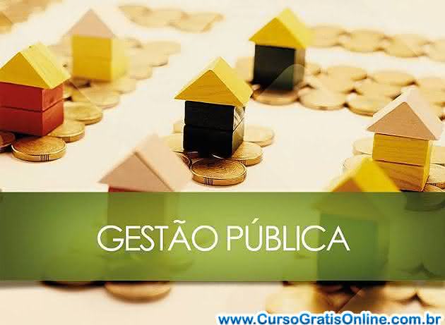 curso de gestão pública