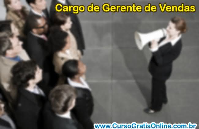 cargo de gerente de vendas