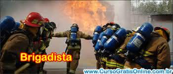 Curso de Brigadista: O que é, o que faz, quanto ganha? - CURSOS GRATUITOS