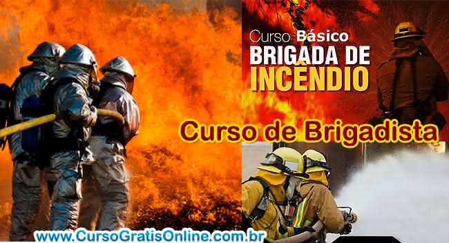 curso de brigadista