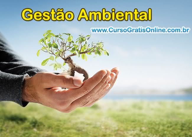 gestor ambiental