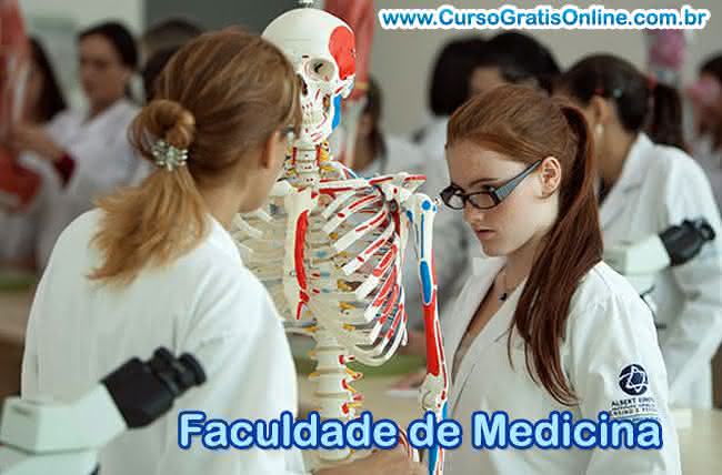 faculdade de medicina