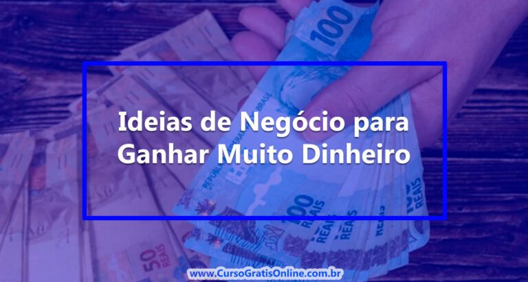 Mais de 30 Ideias de Negócio para Ganhar Muito Dinheiro